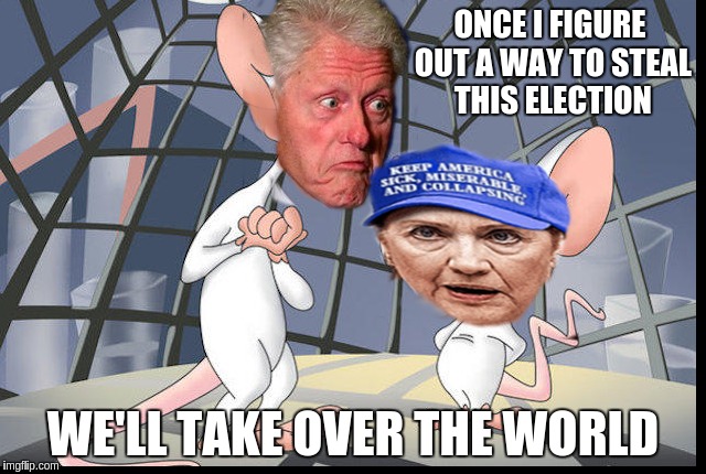 Willy and the Brain | ONCE I FIGURE OUT A WAY TO STEAL THIS ELECTION WE'LL TAKE OVER THE WORLD | image tagged in memes | made w/ Imgflip meme maker