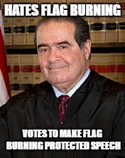 Scalia Agrees | HATES FLAG BURNING; VOTES TO MAKE FLAG BURNING PROTECTED SPEECH | image tagged in scalia agrees | made w/ Imgflip meme maker