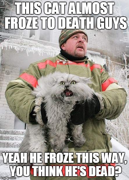 looks alive to me | THIS CAT ALMOST FROZE TO DEATH GUYS; YEAH HE FROZE THIS WAY, YOU THINK HE'S DEAD? | image tagged in cat fireman | made w/ Imgflip meme maker