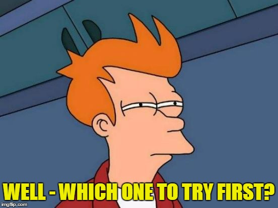 Futurama Fry Meme | WELL - WHICH ONE TO TRY FIRST? | image tagged in memes,futurama fry | made w/ Imgflip meme maker