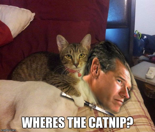 Cat Brian Williams & Knife | WHERES THE CATNIP? | image tagged in cat brian williams  knife,cats,memes | made w/ Imgflip meme maker