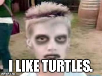 I like turtles | I LIKE TURTLES. | image tagged in i like turtles | made w/ Imgflip meme maker