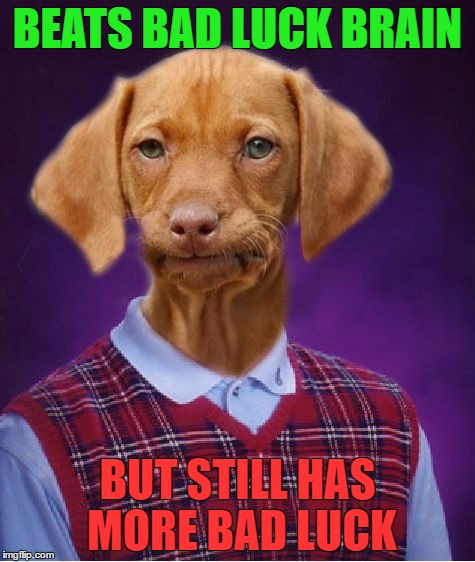 Bad Luck Raydog | BEATS BAD LUCK BRAIN; BUT STILL HAS MORE BAD LUCK | image tagged in bad luck raydog | made w/ Imgflip meme maker