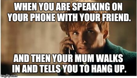 WHEN YOU ARE SPEAKING ON YOUR PHONE WITH YOUR FRIEND. AND THEN YOUR MUM WALKS IN AND TELLS YOU TO HANG UP. | image tagged in annoyed newt | made w/ Imgflip meme maker