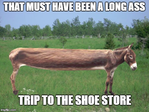 THAT MUST HAVE BEEN A LONG ASS TRIP TO THE SHOE STORE | made w/ Imgflip meme maker