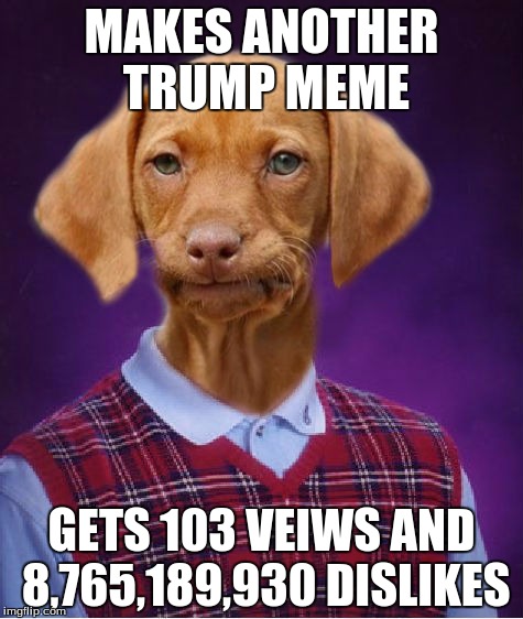 Bad Luck Raydog | MAKES ANOTHER TRUMP MEME; GETS 103 VEIWS AND 8,765,189,930 DISLIKES | image tagged in bad luck raydog | made w/ Imgflip meme maker