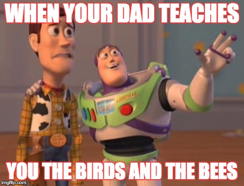 X, X Everywhere | WHEN YOUR DAD TEACHES; YOU THE BIRDS AND THE BEES | image tagged in memes,x x everywhere | made w/ Imgflip meme maker