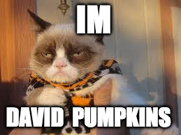 Grumpy Cat Halloween | IM; DAVID  PUMPKINS | image tagged in memes,grumpy cat halloween,grumpy cat | made w/ Imgflip meme maker
