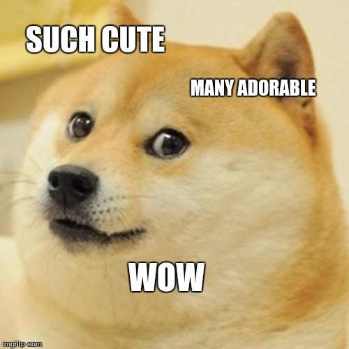 Doge Meme | SUCH CUTE MANY ADORABLE WOW | image tagged in memes,doge | made w/ Imgflip meme maker