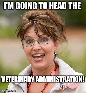 Sarah Palin | I'M GOING TO HEAD THE; VETERINARY ADMINISTRATION! | image tagged in sarah palin | made w/ Imgflip meme maker