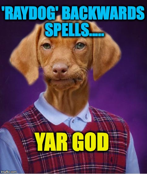 Bad Luck Raydog | 'RAYDOG' BACKWARDS SPELLS..... YAR GOD | image tagged in bad luck raydog | made w/ Imgflip meme maker