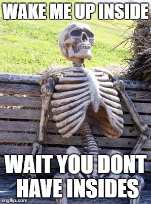 Waiting Skeleton Meme | WAKE ME UP INSIDE; WAIT YOU DONT HAVE INSIDES | image tagged in memes,waiting skeleton | made w/ Imgflip meme maker