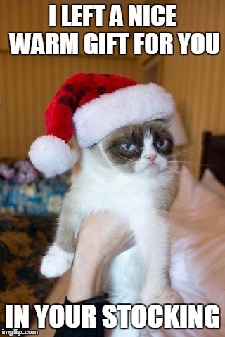 Grumpy Cat Christmas | I LEFT A NICE WARM GIFT FOR YOU; IN YOUR STOCKING | image tagged in memes,grumpy cat christmas,grumpy cat | made w/ Imgflip meme maker