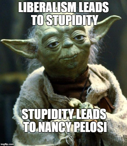 Star Wars Yoda Meme | LIBERALISM LEADS TO STUPIDITY; STUPIDITY LEADS TO NANCY PELOSI | image tagged in memes,star wars yoda | made w/ Imgflip meme maker
