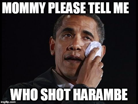 Crying Obama | MOMMY PLEASE TELL ME; WHO SHOT HARAMBE | image tagged in crying obama | made w/ Imgflip meme maker