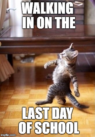 Cool Cat Stroll | WALKING IN ON THE; LAST DAY OF SCHOOL | image tagged in memes,cool cat stroll | made w/ Imgflip meme maker