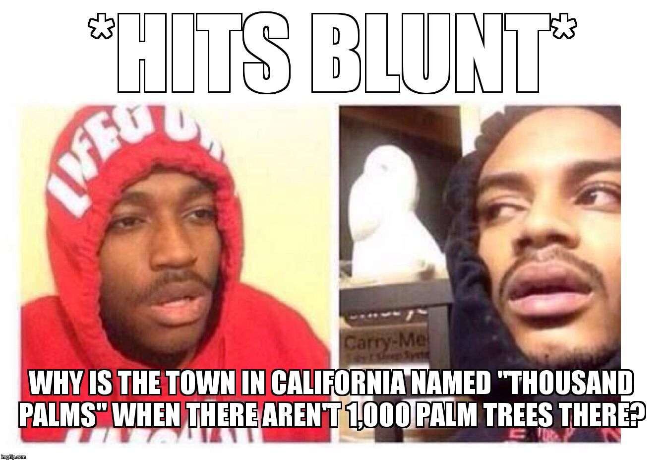 Hits blunt | *HITS BLUNT*; WHY IS THE TOWN IN CALIFORNIA NAMED "THOUSAND PALMS" WHEN THERE AREN'T 1,000 PALM TREES THERE? | image tagged in hits blunt | made w/ Imgflip meme maker