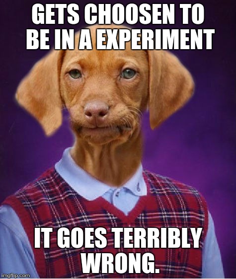 Bad Luck Raydog | GETS CHOOSEN TO BE IN A EXPERIMENT; IT GOES TERRIBLY WRONG. | image tagged in bad luck raydog | made w/ Imgflip meme maker