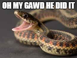 Dangernoodle | OH MY GAWD HE DID IT | image tagged in dangernoodle | made w/ Imgflip meme maker