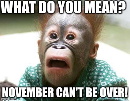monkey Hair | WHAT DO YOU MEAN? NOVEMBER CAN'T BE OVER! | image tagged in monkey hair | made w/ Imgflip meme maker