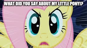 WHAT DID YOU SAY ABOUT MY LITTLE PONY!? | made w/ Imgflip meme maker