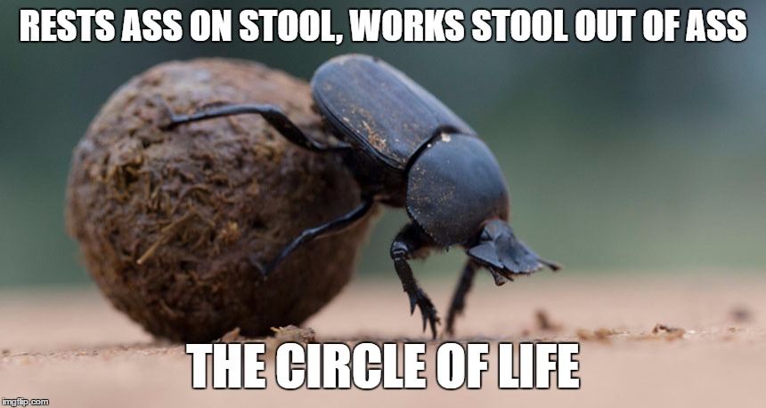 RESTS ASS ON STOOL, WORKS STOOL OUT OF ASS THE CIRCLE OF LIFE | made w/ Imgflip meme maker