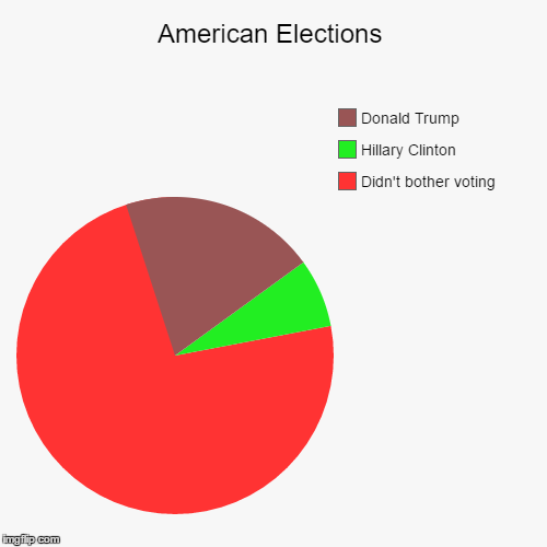 image tagged in funny,pie charts | made w/ Imgflip chart maker