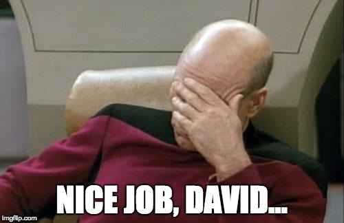 Captain Picard Facepalm Meme | NICE JOB, DAVID... | image tagged in memes,captain picard facepalm | made w/ Imgflip meme maker