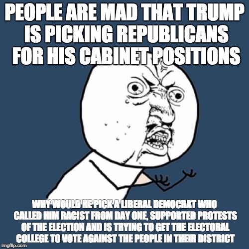 Y U No | PEOPLE ARE MAD THAT TRUMP IS PICKING REPUBLICANS FOR HIS CABINET POSITIONS; WHY WOULD HE PICK A LIBERAL DEMOCRAT WHO CALLED HIM RACIST FROM DAY ONE, SUPPORTED PROTESTS OF THE ELECTION AND IS TRYING TO GET THE ELECTORAL COLLEGE TO VOTE AGAINST THE PEOPLE IN THEIR DISTRICT | image tagged in memes,y u no | made w/ Imgflip meme maker