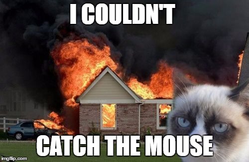 Burn Kitty | I COULDN'T; CATCH THE MOUSE | image tagged in memes,burn kitty,grumpy cat | made w/ Imgflip meme maker