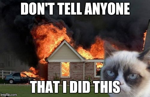 Burn Kitty | DON'T TELL ANYONE; THAT I DID THIS | image tagged in memes,burn kitty,grumpy cat | made w/ Imgflip meme maker