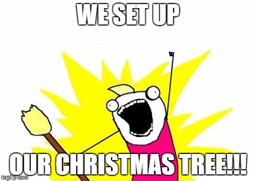 X All The Y Meme | WE SET UP; OUR CHRISTMAS TREE!!! | image tagged in memes,x all the y | made w/ Imgflip meme maker