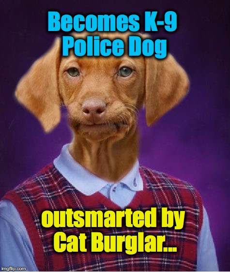 Bad Luck Raydog | Becomes K-9 Police Dog; outsmarted by Cat Burglar... | image tagged in bad luck raydog | made w/ Imgflip meme maker