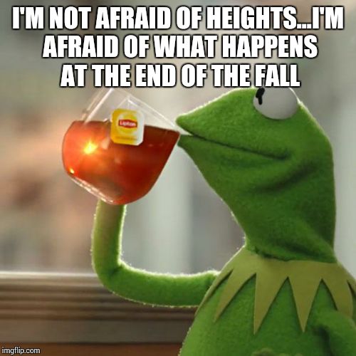 But That's None Of My Business Meme | I'M NOT AFRAID OF HEIGHTS...I'M AFRAID OF WHAT HAPPENS AT THE END OF THE FALL | image tagged in memes,but thats none of my business,kermit the frog | made w/ Imgflip meme maker