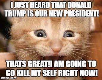 EVERY.DONALD TRUMP.FAN! | I JUST HEARD THAT DONALD TRUMP IS OUR NEW PRESIDENT! THATS GREAT!I AM GOING TO GO KILL MY SELF RIGHT NOW! | image tagged in memes,excited cat,donald trump | made w/ Imgflip meme maker