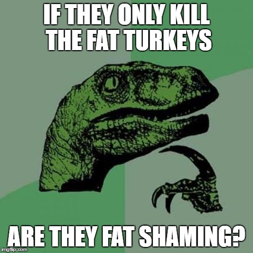 Philosoraptor Meme | IF THEY ONLY KILL THE FAT TURKEYS; ARE THEY FAT SHAMING? | image tagged in memes,philosoraptor | made w/ Imgflip meme maker