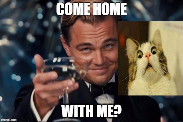 Leonardo Dicaprio Cheers Meme | COME HOME; WITH ME? | image tagged in memes,leonardo dicaprio cheers | made w/ Imgflip meme maker