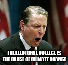 THE ELECTORAL COLLEGE IS THE CAUSE OF CLIMATE CHANGE | image tagged in al gore,global warming,climate change,electoral college,election 2016,vote recount | made w/ Imgflip meme maker
