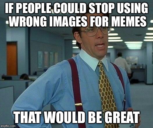 That Would Be Great | IF PEOPLE COULD STOP USING WRONG IMAGES FOR MEMES; THAT WOULD BE GREAT | image tagged in memes,that would be great | made w/ Imgflip meme maker