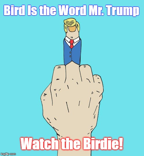 Selfie Trump Bird | Bird Is the Word Mr. Trump; Watch the Birdie! | image tagged in bird,middle finger,flip,f word,trump | made w/ Imgflip meme maker
