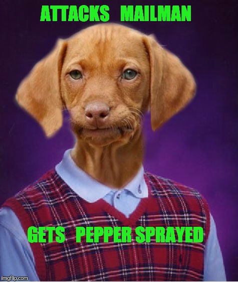 Bad Luck Raydog | ATTACKS   MAILMAN; GETS   PEPPER SPRAYED | image tagged in bad luck raydog,mailman,pepper spray cop,dog | made w/ Imgflip meme maker