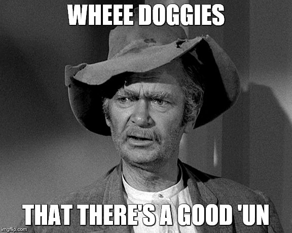 Jed Clampett | WHEEE DOGGIES THAT THERE'S A GOOD 'UN | image tagged in jed clampett | made w/ Imgflip meme maker