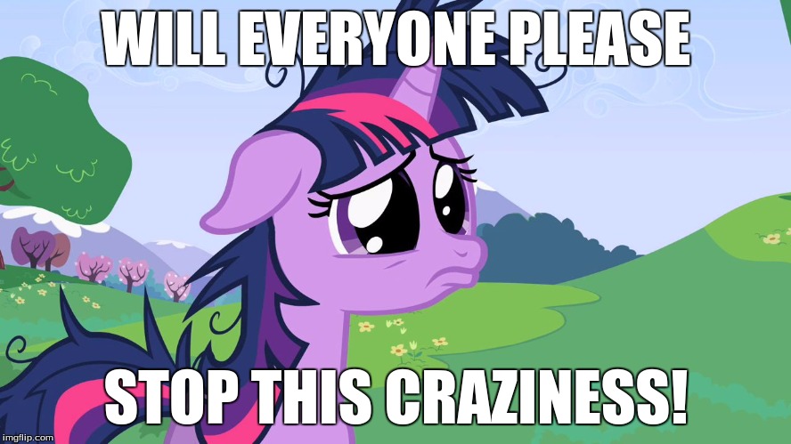 crying twilight | WILL EVERYONE PLEASE; STOP THIS CRAZINESS! | image tagged in crying twilight | made w/ Imgflip meme maker