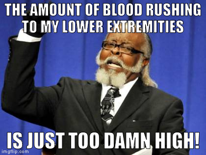 Too Damn High Meme | THE AMOUNT OF BLOOD RUSHING TO MY LOWER EXTREMITIES IS JUST TOO DAMN HIGH! | image tagged in memes,too damn high | made w/ Imgflip meme maker