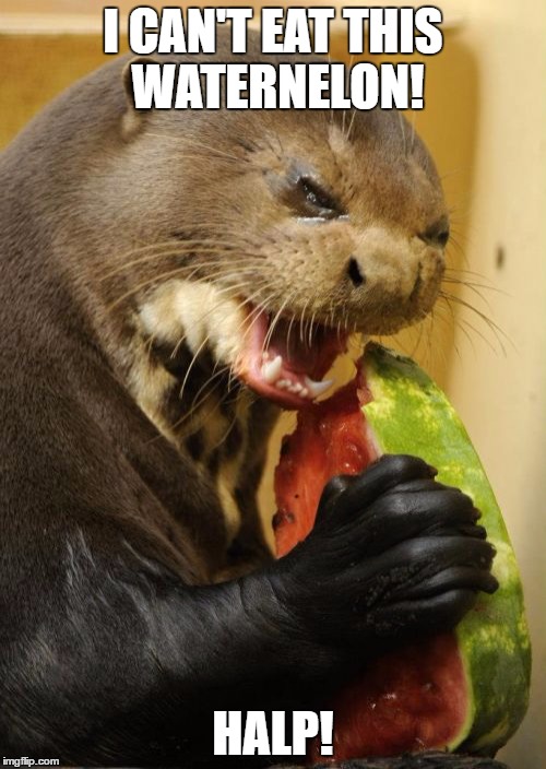 I CANT EAT THIS WATERMELON! | I CAN'T EAT THIS WATERNELON! HALP! | image tagged in memes,self loathing otter | made w/ Imgflip meme maker