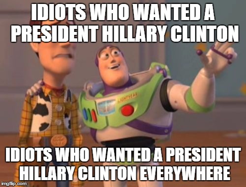 X, X Everywhere | IDIOTS WHO WANTED A PRESIDENT HILLARY CLINTON; IDIOTS WHO WANTED A PRESIDENT HILLARY CLINTON EVERYWHERE | image tagged in memes,x x everywhere | made w/ Imgflip meme maker