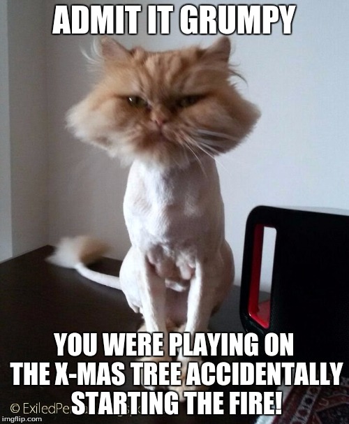 Shaved Pussy Cat | ADMIT IT GRUMPY YOU WERE PLAYING ON THE X-MAS TREE
ACCIDENTALLY STARTING THE FIRE! | image tagged in shaved pussy cat | made w/ Imgflip meme maker