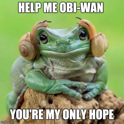 Princess Leia | HELP ME OBI-WAN; YOU'RE MY ONLY HOPE | image tagged in star wars,obi wan kenobi | made w/ Imgflip meme maker