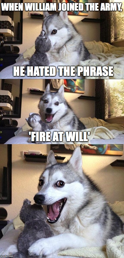 Bad Pun Dog | WHEN WILLIAM JOINED THE ARMY, HE HATED THE PHRASE; 'FIRE AT WILL' | image tagged in memes,bad pun dog | made w/ Imgflip meme maker