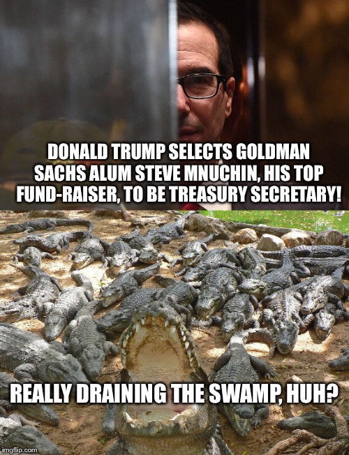 Really? | DONALD TRUMP SELECTS GOLDMAN SACHS ALUM STEVE MNUCHIN, HIS TOP FUND-RAISER, TO BE TREASURY SECRETARY! REALLY DRAINING THE SWAMP, HUH? | image tagged in steve mnuchin,goldman sacs,treasury secretary,draining the swamp,donald trump | made w/ Imgflip meme maker